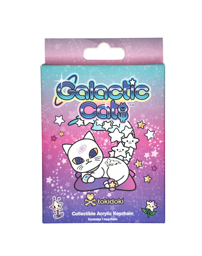 Galactic Cats Acrylic Keychain Blind Box – tokidoki